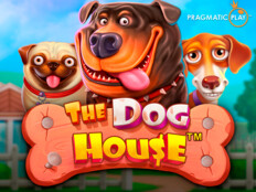 Red dog casino login. Dalya çiçeği.40